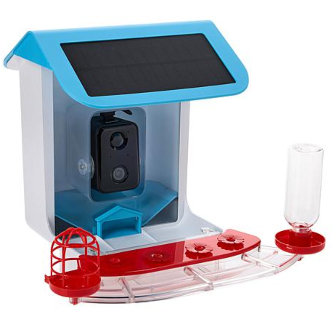 Smart Solar Hummingbird Feeder with AI Camera - HD Video & Instant Alerts